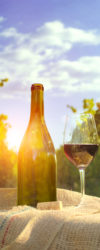 Vinobraní a wellness day víno