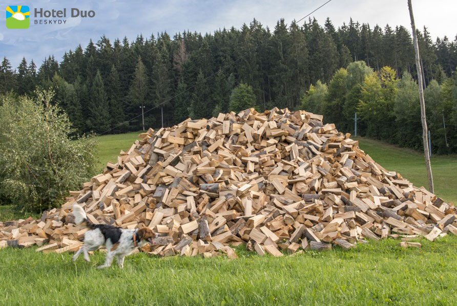 Dřevo na zimu