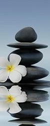 Wellness prázdniny wellness